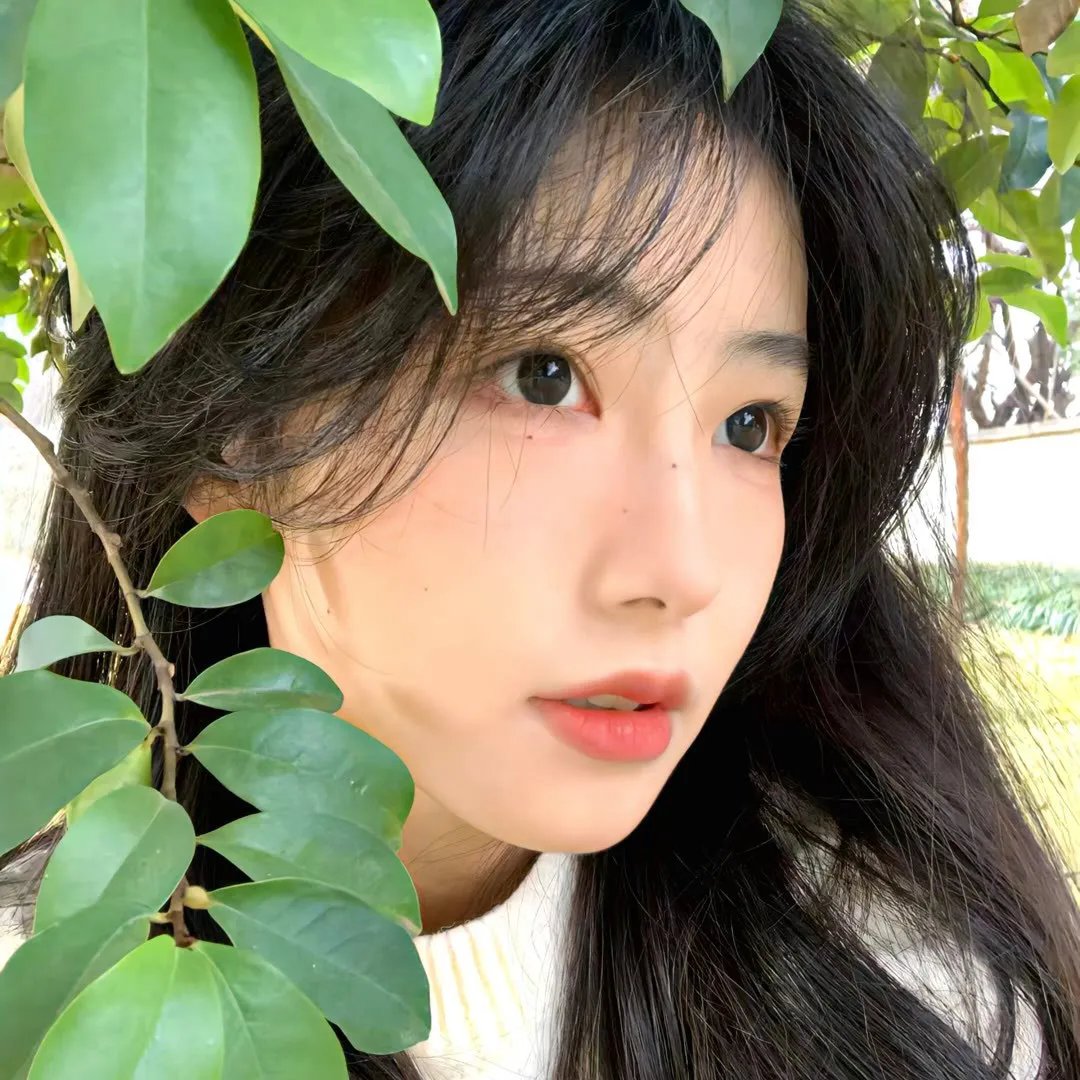 雪之下